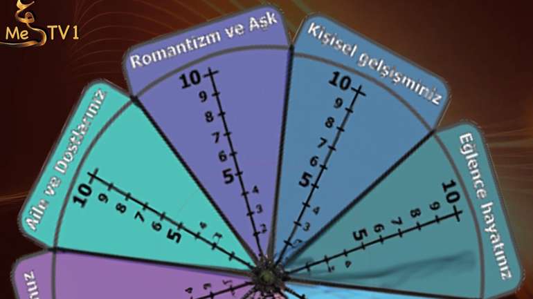 Yaşam Çarkımız